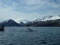 12.Husavik30_23.5.1012