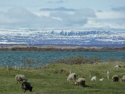 13._Myvatn32_24.05.2012