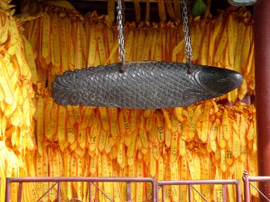 qFisch.jp